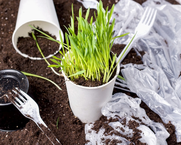 Grass grown in a glass next to plastic garbage