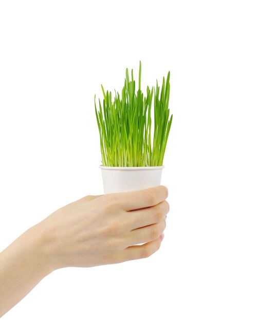 Grass in the hand