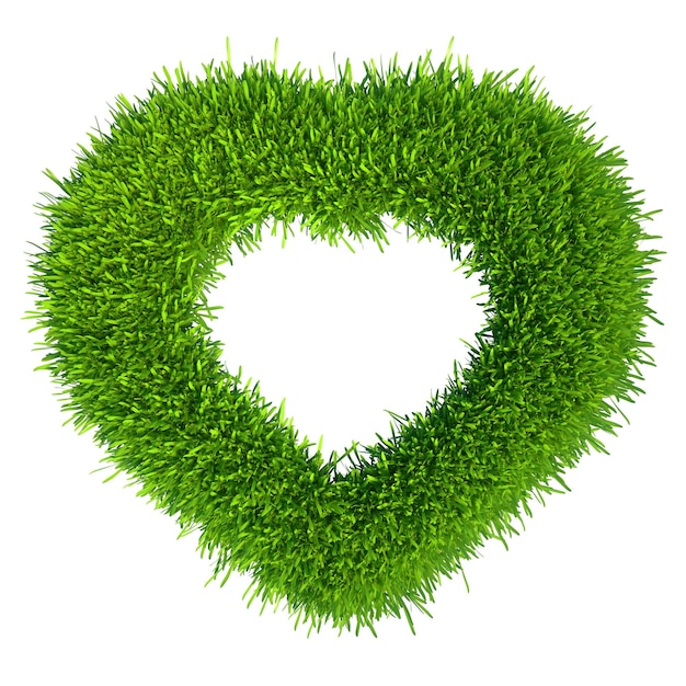 Grass heart isolated on white background