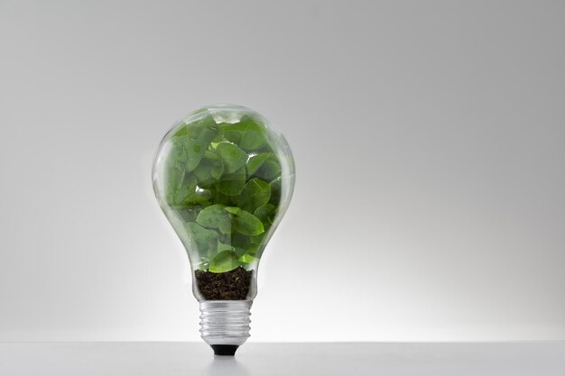 Grass inside bulb light with copy space