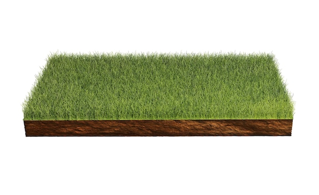 Grass isolated on white background 3d rendering illustration