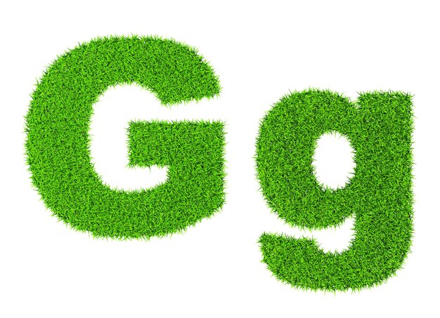 Photo grass letter g