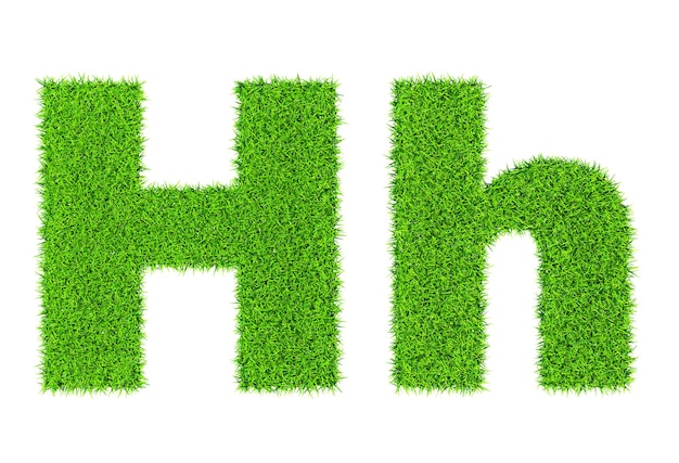 Photo grass letter h