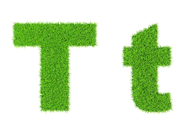 Photo grass letter t