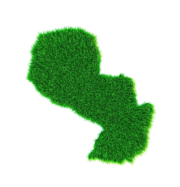 Grass map of Paraguay white background