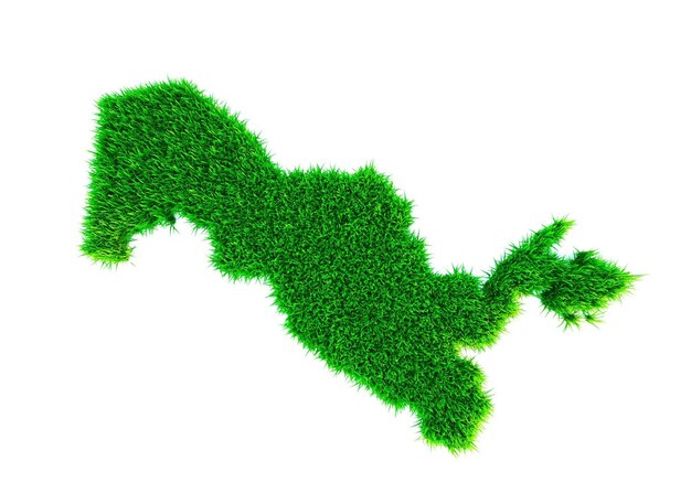 Grass map of Uzbekistan white background