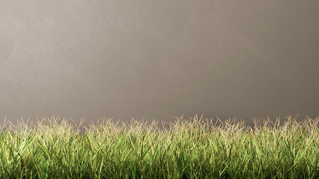 Grass Meadow Against Grey Wall