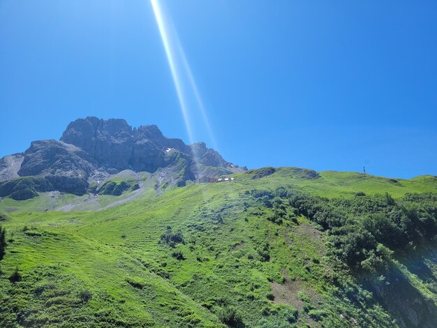 Grass in oberstdorf