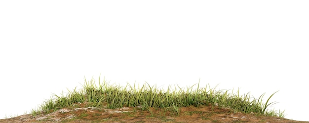 grass patch isolated on white for architecture design or othe use.3d rendering
