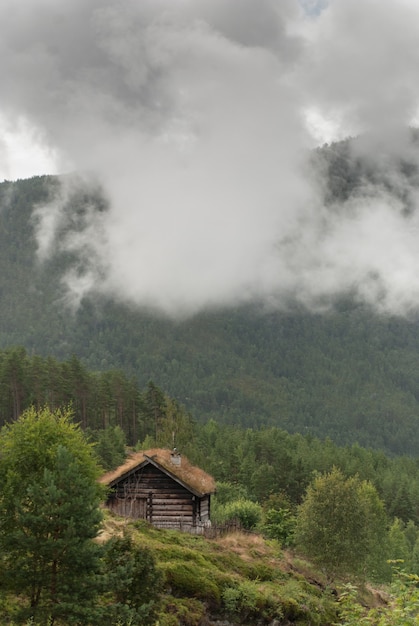 잔디 지붕 집, 노르웨이. 고대 전통 목조 오두막