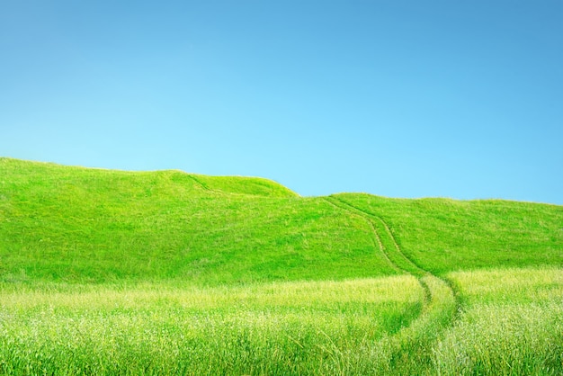 草と空の背景。澄んだ青い空の上のホイールトラックと丘のある緑の草