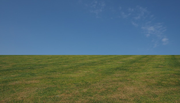 Photo grass and sky