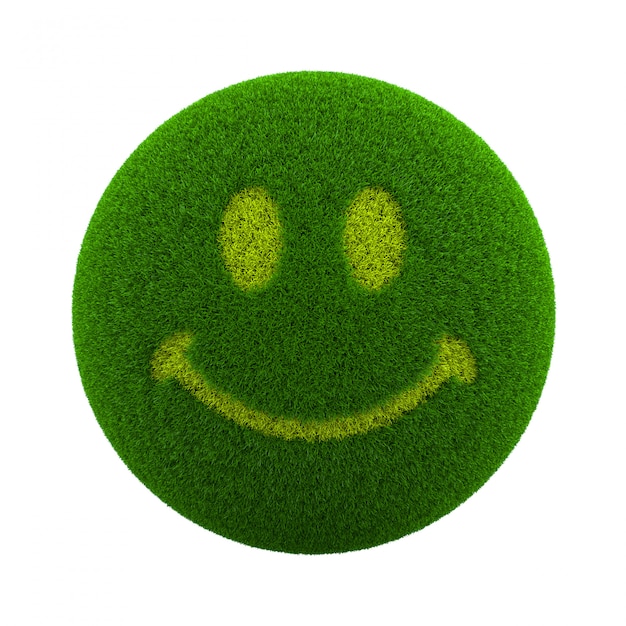 Photo grass sphere smile icon