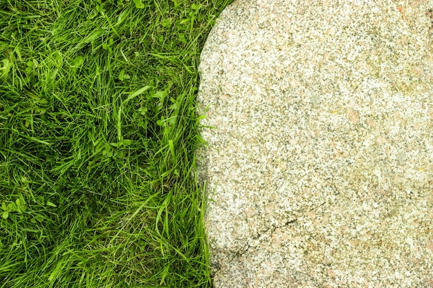 Grass and stone. Close-up. Top view.