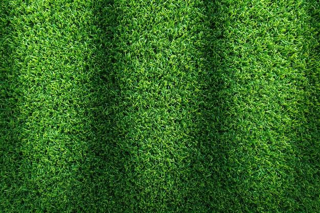 Grass texture background for sports design