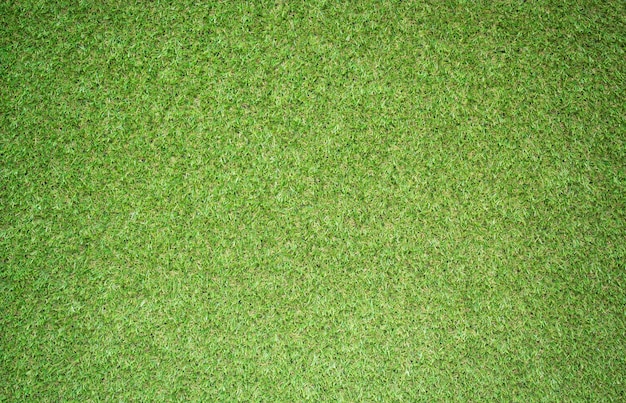 grass texture for background