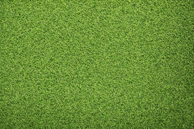 Grass texture for background