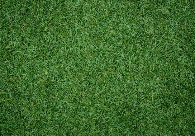 Grass texture background