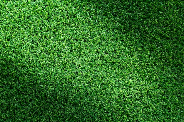 Grass texture or grass background for golf course, soccer field background
