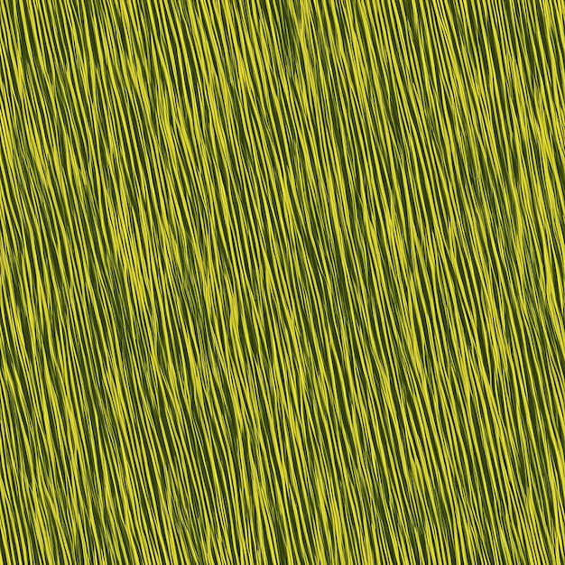 Grass Texture