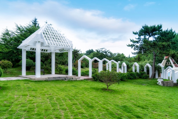 青い空の下の公園の草や木