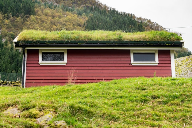 Grass turf used as roofing material on Norwegian stable