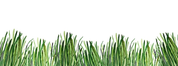 Grass watercolor banner background Template for decorating designs and illustrations