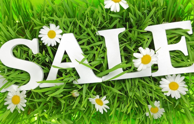 Photo grass with flowers and white text sale on it