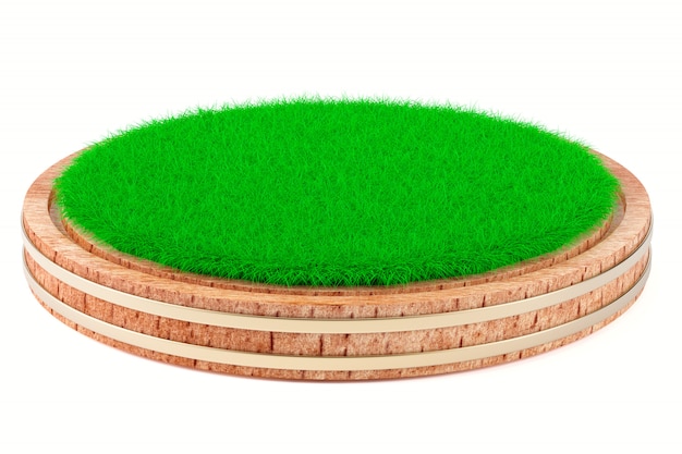 Grass on wooden plate isolated on white background