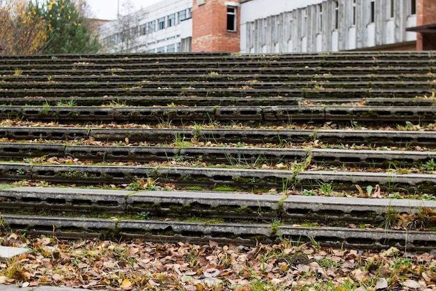 Grass and yellow leaves on concrete steps
