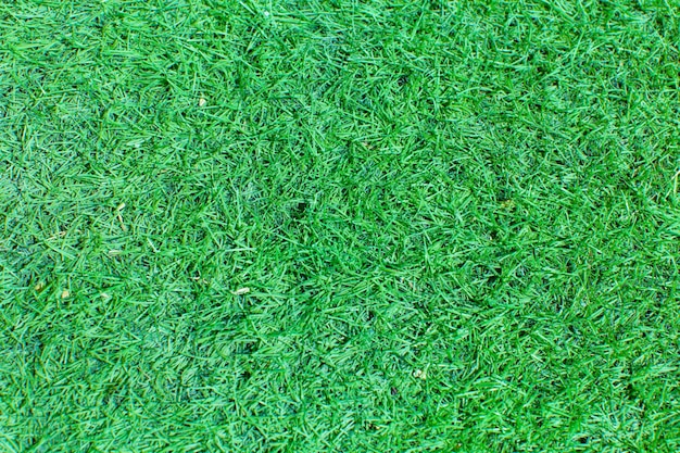 Grass