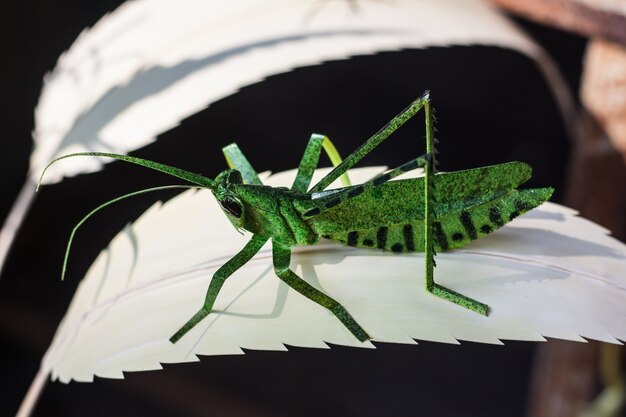 Grasshopper made forn palipot palm leaf ,wicker work