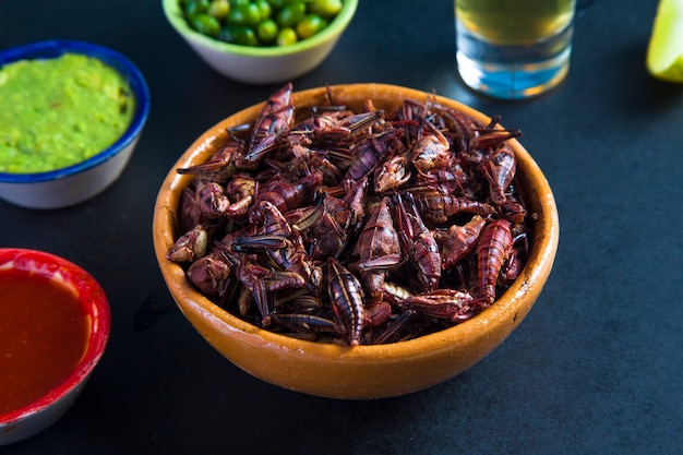 메뚜기 chapulines 간식. 전통적인 멕시코 음식