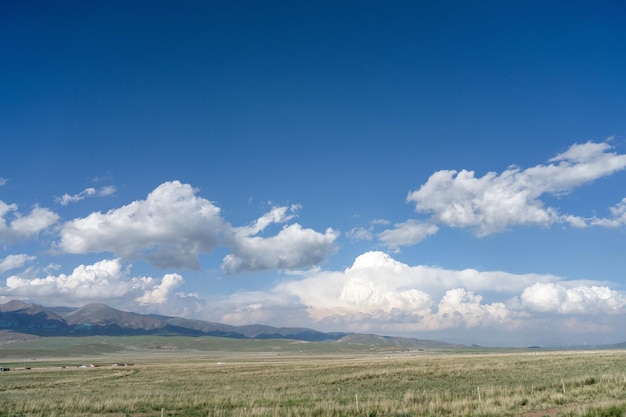 Grassland blue sky and white clouds by Qinghai Lake