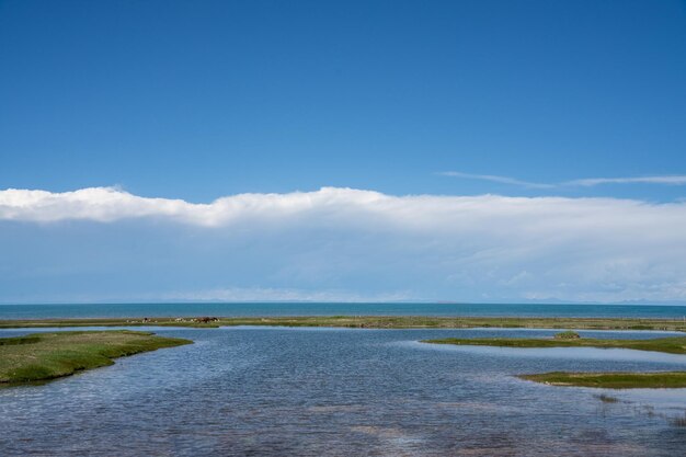 青海湖のほとりの草原には青い空と白い雲があります