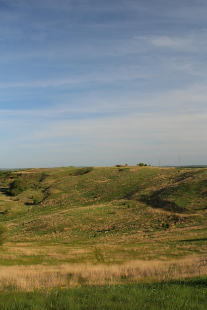 A grassy area with a few trees