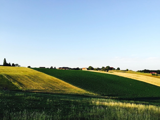 Foto campo erboso contro il cielo