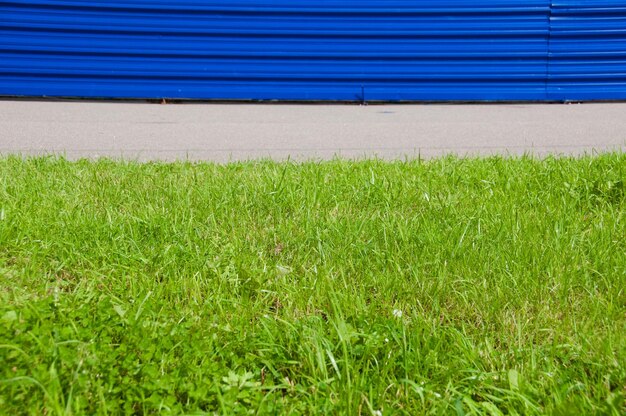 Grassy field by blue corrugated iron