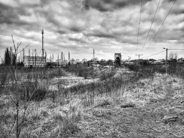 Photo grassy field by city against sky