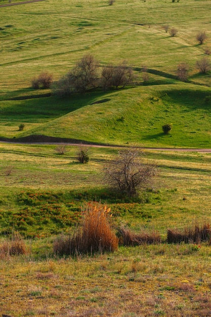 Grassy field and hills. Rural landscapes. Shot from above. Beautiful top view of sown fields.