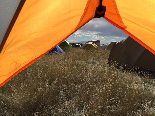 Photo grassy field seen through tent