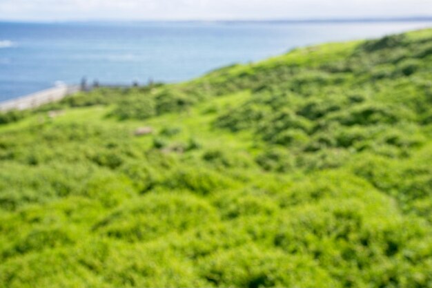 A grassy field with a blue ocean in the background.