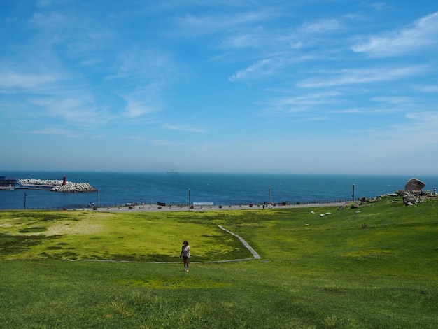 A grassy field with a lighthouse in the background