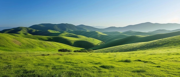 a grassy field with mountains in the background