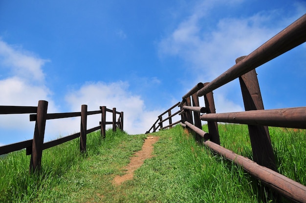 grassy footpath against blue sky