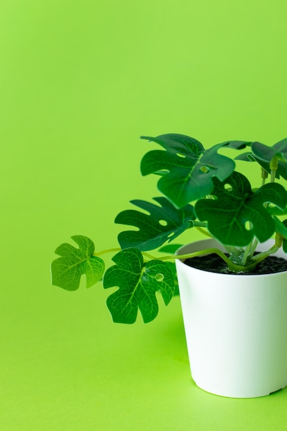 Foto pianta di plastica verde erbosa in vasi su green