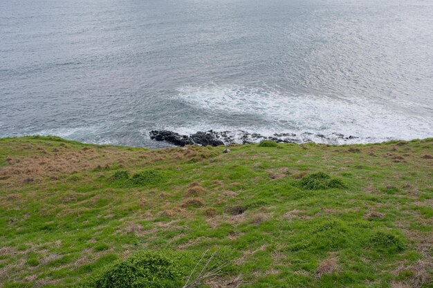 A grassy hill with a green grassy hill and a sea in the background.