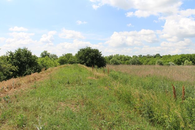 A grassy hill with trees and blue sky