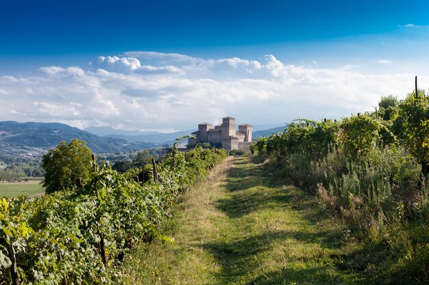 Foto terreno erboso che conduce all'edilizia