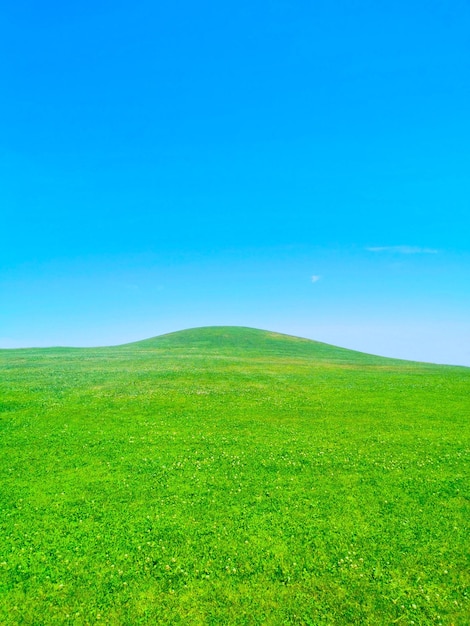 사진 푸른 하늘과 잔디 산입니다. 벽지. 배경